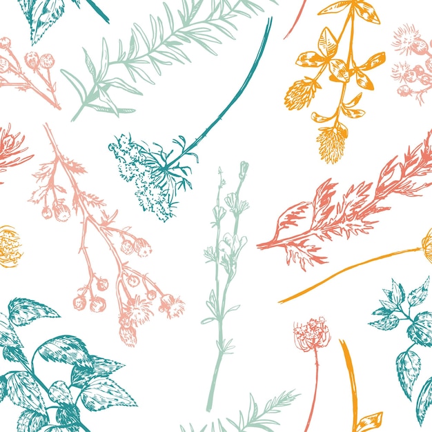 Wilde planten veld bloemen abstract ornament Hand getrokken vector naadloze patroon Floral sieraad in retro schets stijl Vintage botanisch design