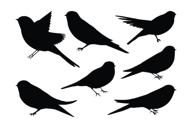 Wilde zwaluwen vogel vliegende silhouetten op een witte achtergrond Zwaluwen volledige lichaam silhouet collectie Mooie vogels zitten en vliegen in verschillende posities Wilde zwaluwen vogel silhouet bundel