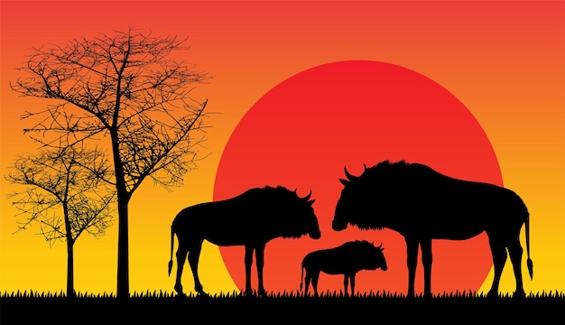 Wildebeest zonsondergang in afrika