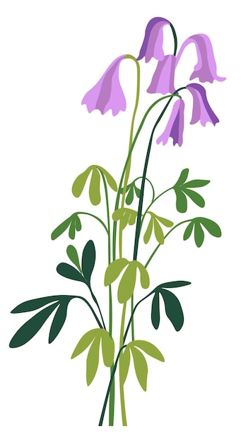 Wildflower in blossom blooming flower vector