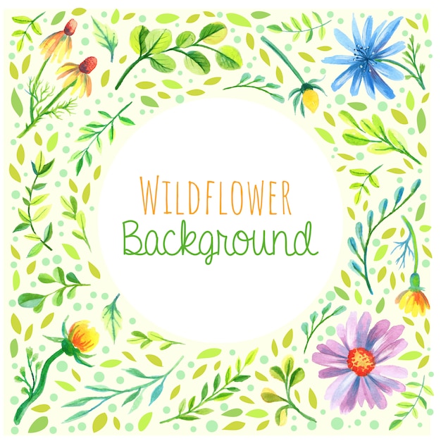 Fondo dell'acquerello decorativo wildflower