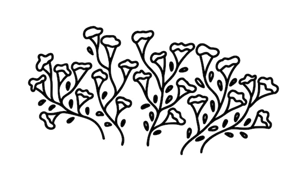 Wildflower line art set Flower doodle Vector illustration isolated on white background