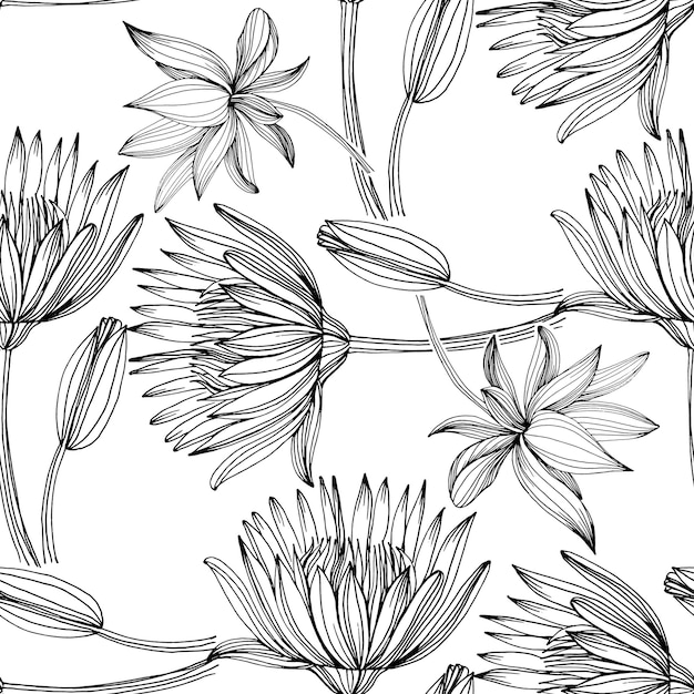 한 줄 스타일의 야생화 연꽃 패턴 식물 개요 흑백 새겨진 잉크 아트 로터스 배경 질감 래퍼 패턴 프레임 또는 테두리에 대한 스케치 야생 꽃