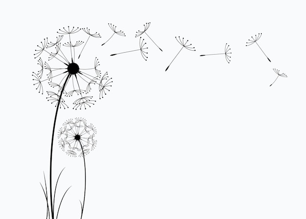 Vector wildflower paardebloem in een vector stijl geïsoleerd