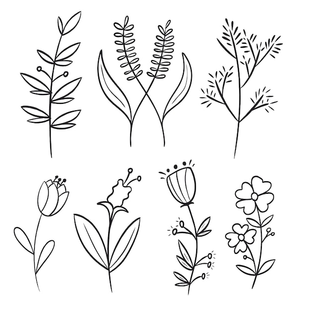 wildflower and plants clipart in black