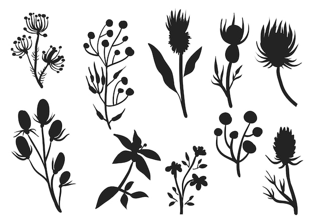 Wildflower Silhouettes Premium Vectors