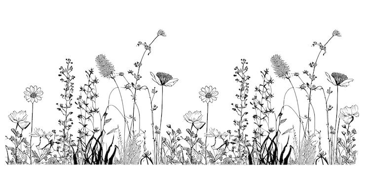 Vector wildflowers field border sketch hand drawn in doodle style vector illustration
