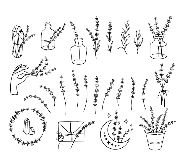 Полевые цветы лаванды черно-белый клипарт связка линии лаванды цветок набор векторные иллюстрации