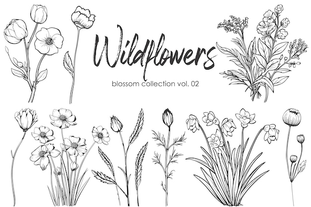 Vector wildflowers line art vector illustration set isolated on white black ink hand drawn sketch