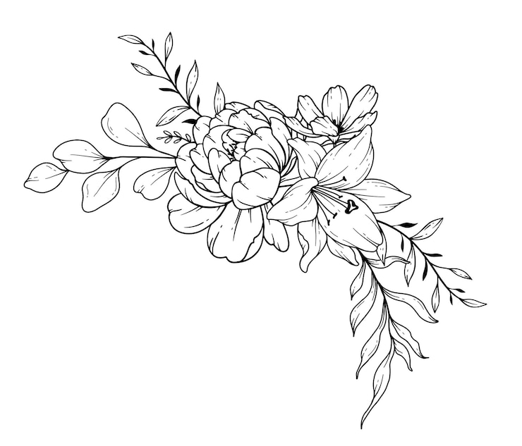 Vector wildflowers line drawing flower coloring page floral line art