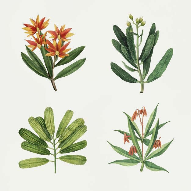 Vector wildflowers vector set illustration