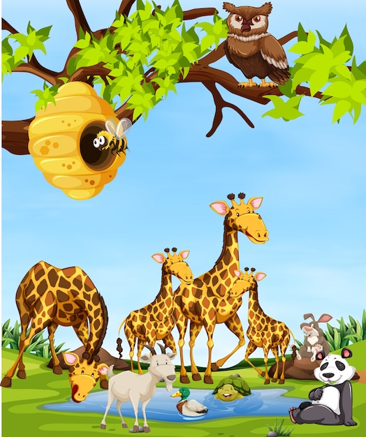 Wildlife animals scene