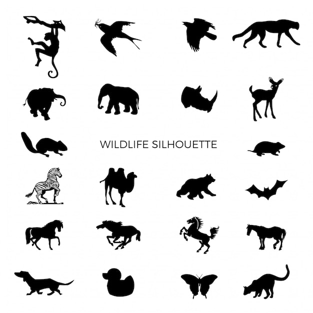 Wildlife animals silhouette