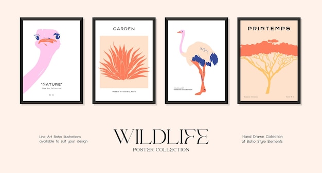 Коллекция плакатов с минималистичным принтом дикой природы