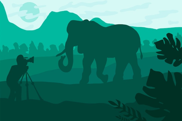 Vector wildlife photographer flat illustration. minimalistic night landscape with elephant silhouette