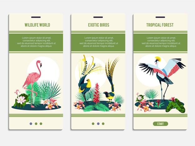 Set di modelli di pagina dell'app mobile del mondo della fauna selvatica