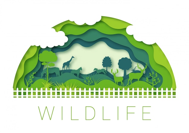 Vector wildlife zoo environment, 3d paper art origami design