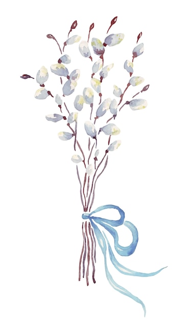 Vector willow bouquet watercolor clipart