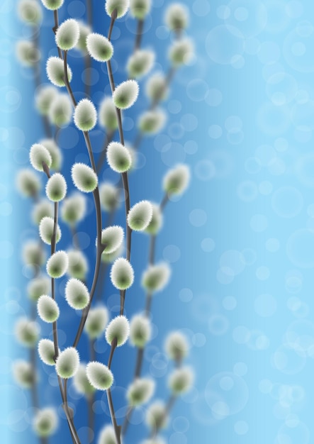 Vector willow branches on blue sky on a sunny day with bokeh effect template with text place