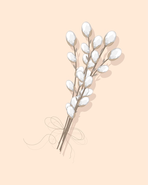 Vector willow flowers for easter