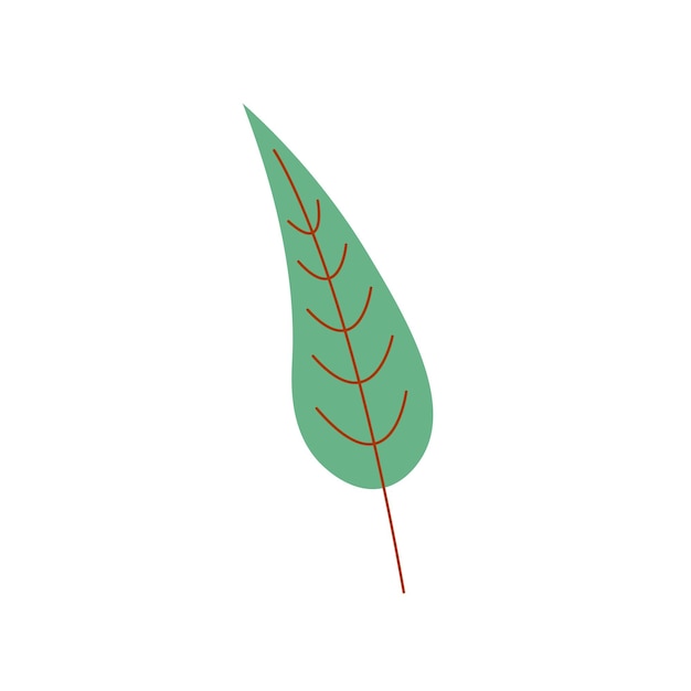 Willow Leave Vector Illustration