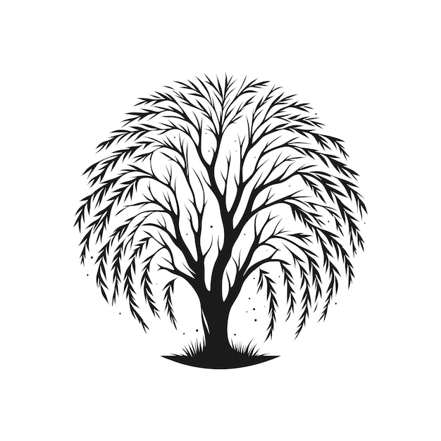Vector willow tree creatieve vector natuurvriendelijk tekenconcept