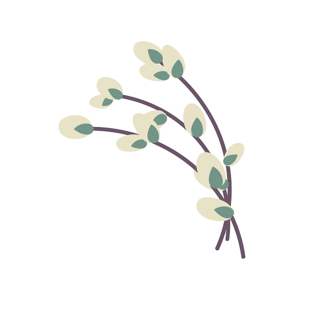 흰색 배경에 고립 된 버드 나무 나뭇 가지 부활절 willowFlat 벡터 일러스트 레이 션 디자인 부활절 포장
