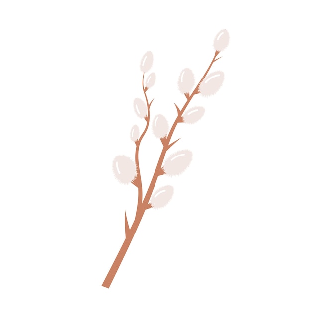 Vector willow twig. spring easter symbol. branch with blooming pussy. vector illustration.