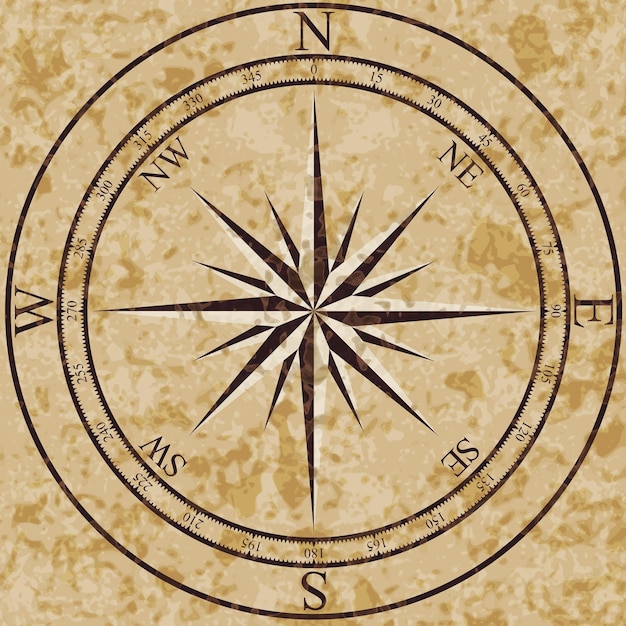 Vector wind rose