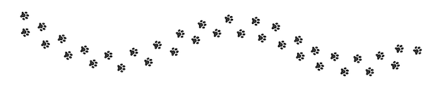 Winding trail of wet or mud pawprints of dog cat bear wolf raccoon Paw silhouettes stamps