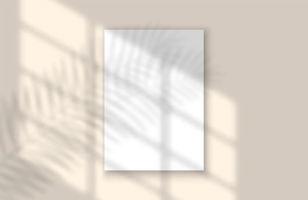 Vector window and leaf realistic shadow mock up template tropical leaf and light from window overlay mockup...