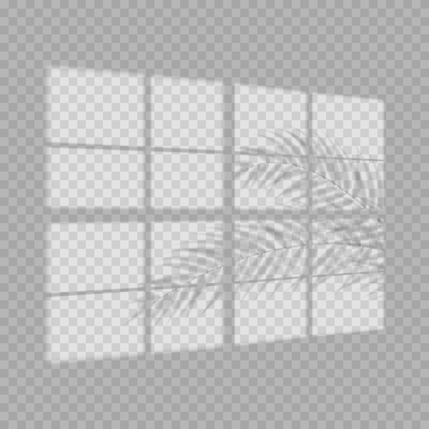 Vector window light and shadow realistic