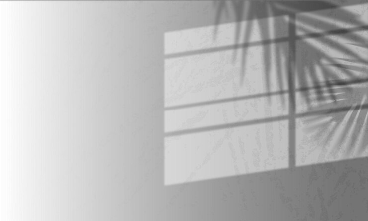 Vector window slit shadow background and leaf shadows