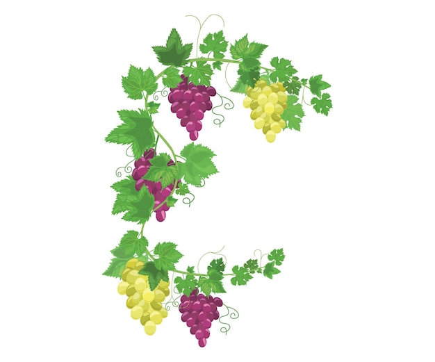 wine 1
