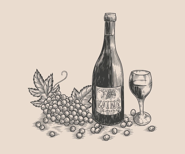 Bottiglia di vino, bicchiere di vino e uva. illustrazioni vettoriali in stile incisione disegnate a mano