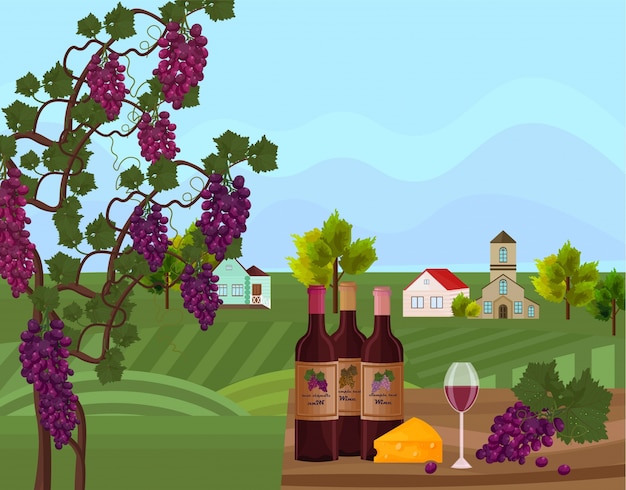 Vector wine bottles and vine background