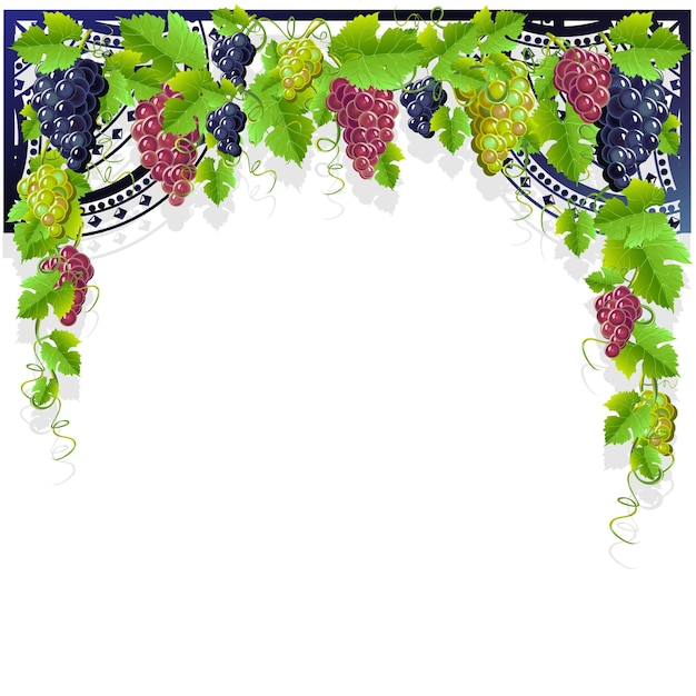 Vector wine frame