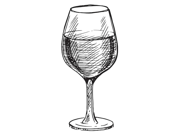 Wine glasses sketch vector illustration Hand drawn label design elements