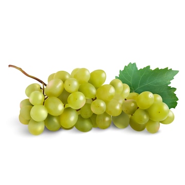 Premium Vector | Wine grapes table grapes realism Fresh fruit realistic ...