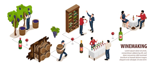 Wine Isometric Infographic Set