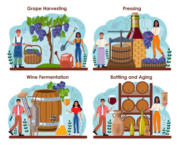 Wine maker concept set grape wine aging in a wood barrel wine factory