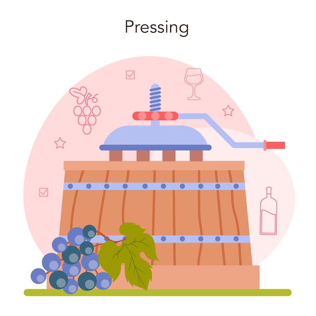 wine production concept grape wine in a bottle or glass alcohol drink