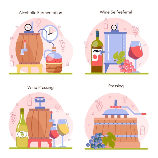 Вектор Набор концепции производства вина. виноградное вино в бутылке или стакане. алкогольный напиток