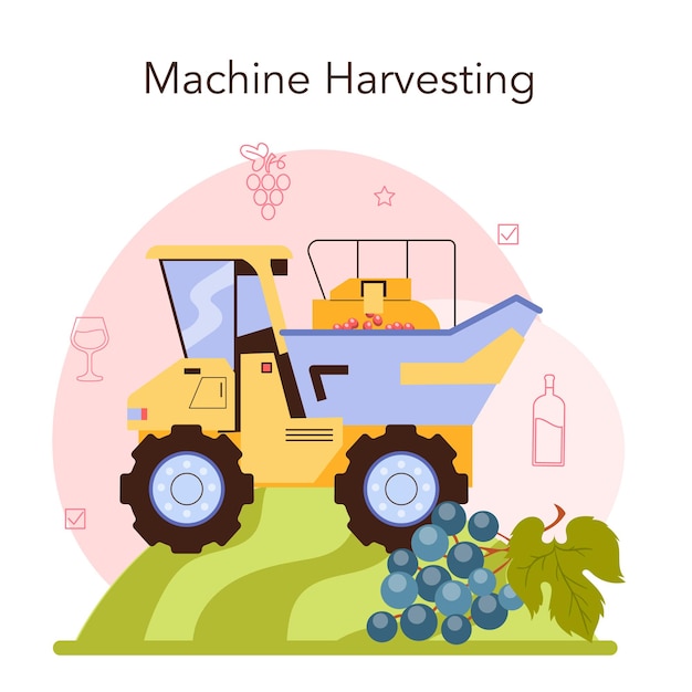 Vector wine production. grape selection, cultivation and harvesting. alcohol drink characteristics. grape wine in a bottle or glass. flat vector illustration