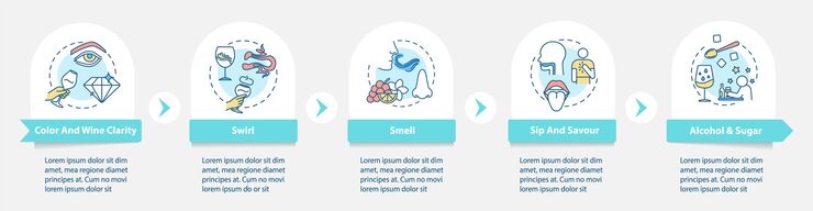 Vector 와인 시음 벡터 infographic 템플릿입니다. 와인 시음 프레젠테이션 디자인 요소에 대한 소믈리에 가이드. 5단계로 데이터 시각화. 프로세스 타임라인 차트. 선형 아이콘이 있는 워크플로 레이아웃