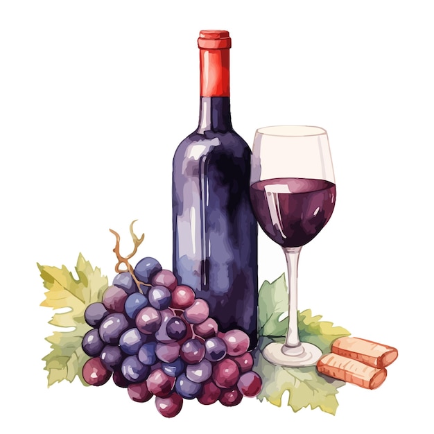 Vector wines with grape illustration