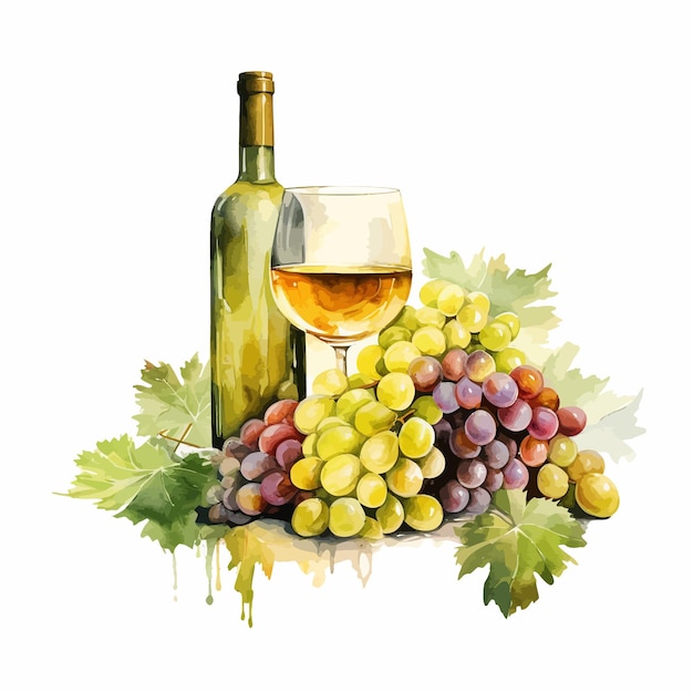 wines with grape illustration