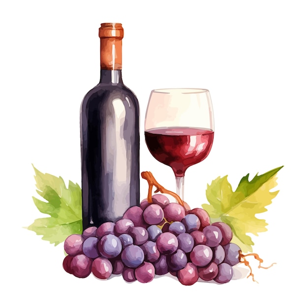 Vector wines with grape illustration