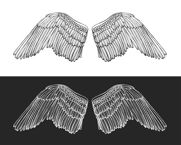 Wing angel on dark and light background hand draw sketch.