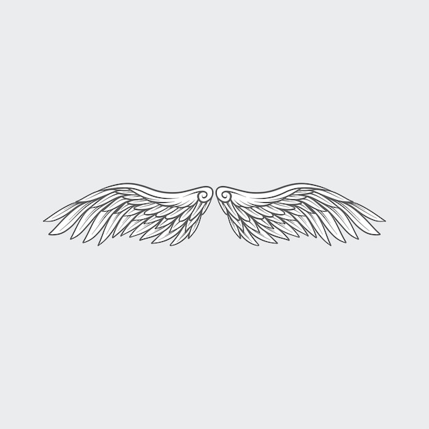 Wing Illustration Vector